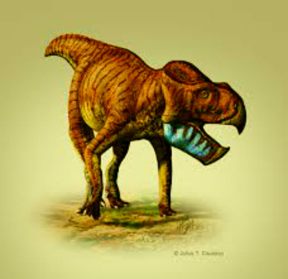 Rinconsaurus Dinosaur